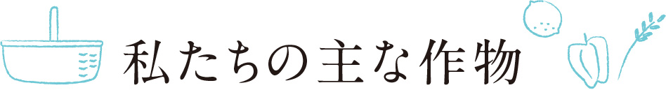 私たちの主な作物