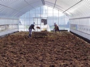 新しいハウスで作業