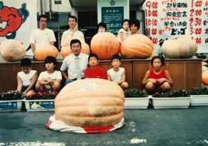 カボチャコンテストの様子 その4