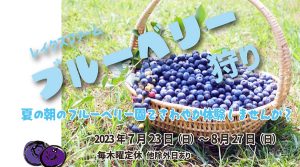 【2023年開催】レイクスファームブルーベリー狩り